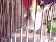 Strike A Pose!!!